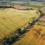Veselīga uztura pamati