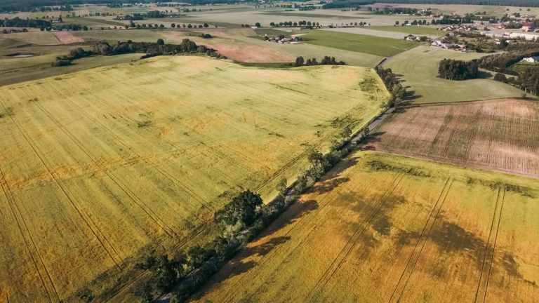 Veselīga uztura pamati